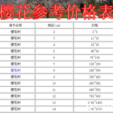 樱花价格表，樱花产地，本公司大量出售2-20公分樱花