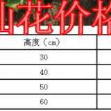 八仙花价格、产地、基地大量供应规格齐全