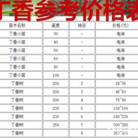 丁香基地产地，供应：3-12公分丁香