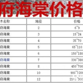 西府海棠基地产地，供应：2-15公分西府海棠