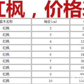 红枫基地产地，本公司供应：2-20公分红枫