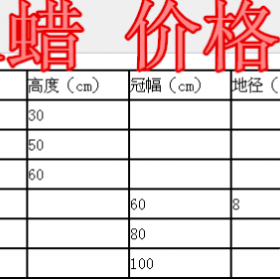 水蜡球基地，水蜡苗基地，供应