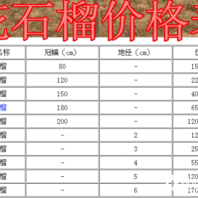 丛生花石榴基地，丛生花石榴产地，供应：1米-3米冠幅