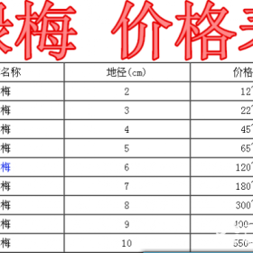 绿梅基地，绿梅产地，供应：2-10公分绿梅