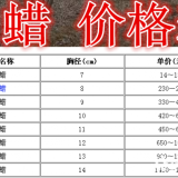 白蠟基地，白蠟產(chǎn)地，供應(yīng)：2-30公分白蠟