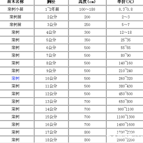 栾树基地，栾树产地，供应：2-20公分栾树