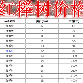 红榉树基地，红榉树产地，供应:2-20g公分红榉树