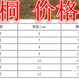 青桐基地，青桐产地，供应：2-15公分青桐