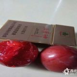 新品种李子苗价格/李子苗多少钱一颗