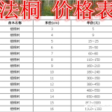 法桐基地，法桐產(chǎn)地，供應(yīng)：2-30公分法桐