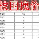 金枝國槐基地，金枝國槐產(chǎn)地，供應：3-15公分金枝國槐