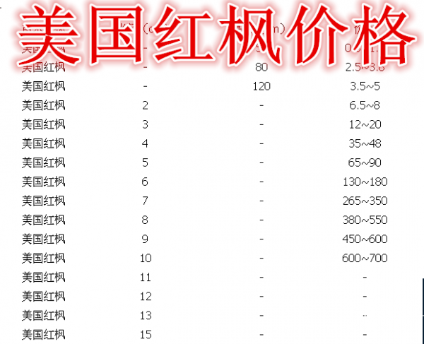 美国红枫