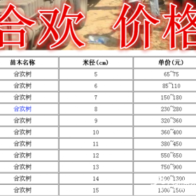 合欢基地，合欢产地，供应：2-18公分合欢