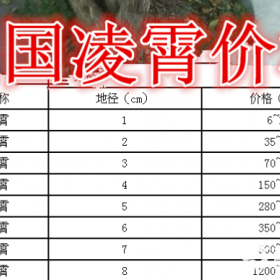 美国凌霄基地，美国凌霄产地，供应：1-10公分美国凌霄