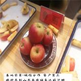 蘋果樹苗新品種 魯麗蘋果樹苗哪里便宜