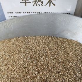 进口早熟禾高羊茅黑麦草种子快寄全国