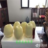 秦脆晚熟苹果树苗,维纳斯黄金苹果启东,嫁接苹果苗可以种植吗