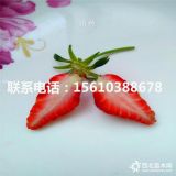 牛奶草莓苗多少錢一棵；牛奶草莓苗批發(fā)價格