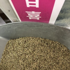 护坡草百喜草 狗牙草 黑麦草 格桑花 高羊茅 紫穗槐快递全国