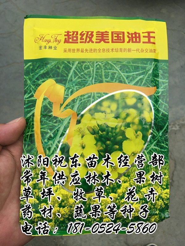 美國油王油菜籽種