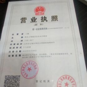 1年杜仲苗价格，1年杜仲苗多少钱一棵？