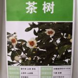 茶樹種子怎么樣催芽?