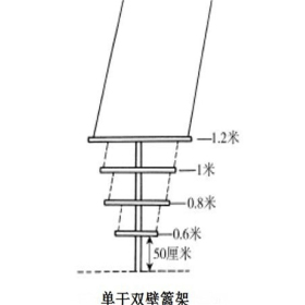 状元红葡萄苗发展趋势、甜蜜蓝宝石葡萄苗基地