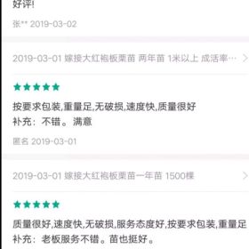 锦绣黄桃树苗特征介绍 锦绣黄桃树苗出售基地