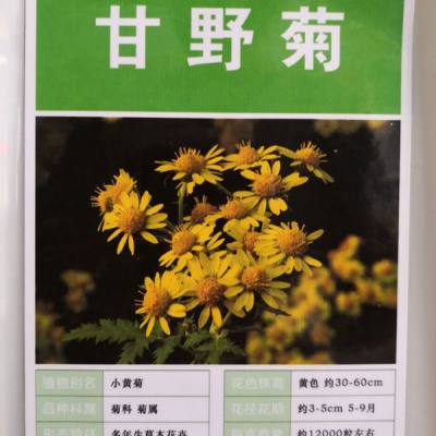 甘野菊種子什么播種能在國慶節(jié)前開花？