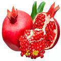 技術(shù)指導(dǎo)石榴苗?好吃甜石榴樹苗