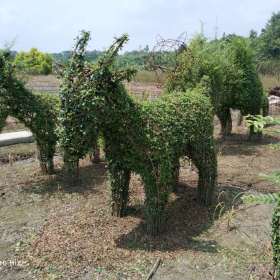 绿色造型基地在哪里 绿色造型哪里有