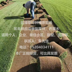 沈阳草坪农户自家种植草坪承接草坪种植养护与维护一条龙服务