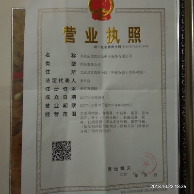 欒樹11公分價(jià)格12公分欒樹上車價(jià)