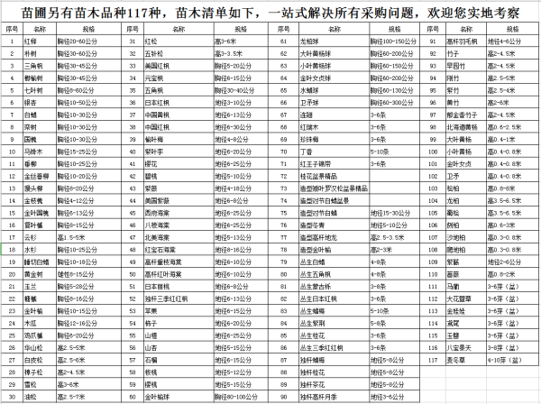 黄金竹高2-6米