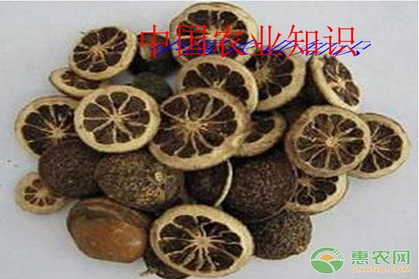 枳壳什么时候播种？枳壳嫩种育苗技术