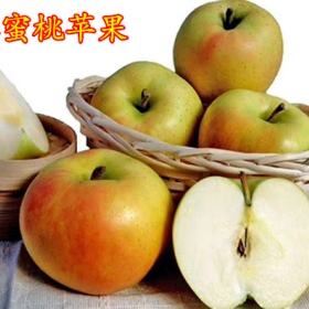 水蜜桃蘋果特點(diǎn)-九州紅家庭農(nóng)場(chǎng)水蜜桃蘋果苗基地