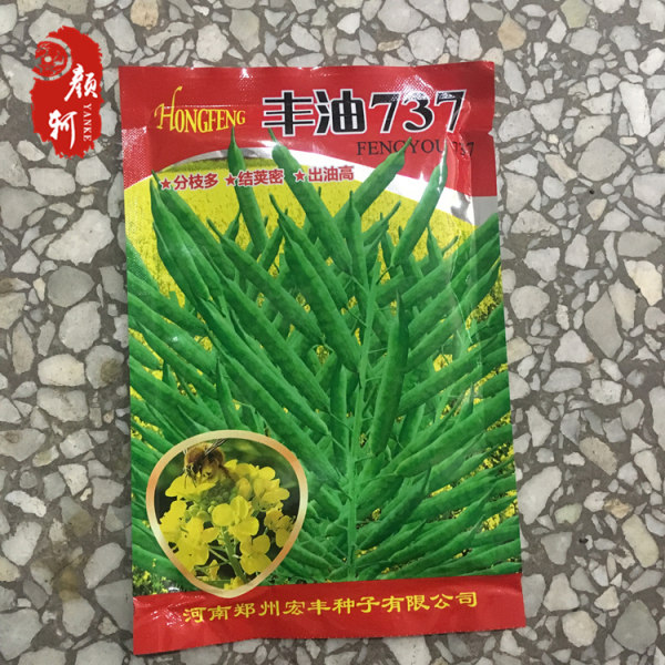 秋播耐冬油菜籽