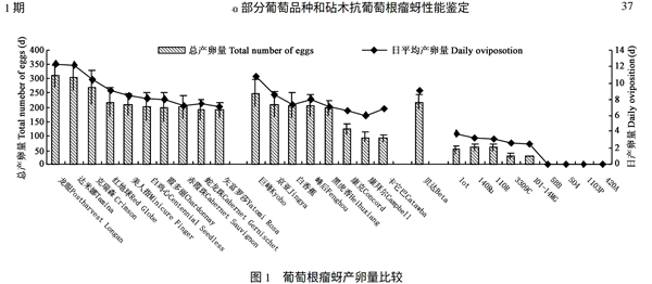 微信图片_20201010141007_副本