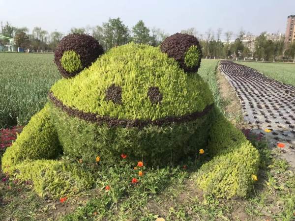 成都真植物绿雕造