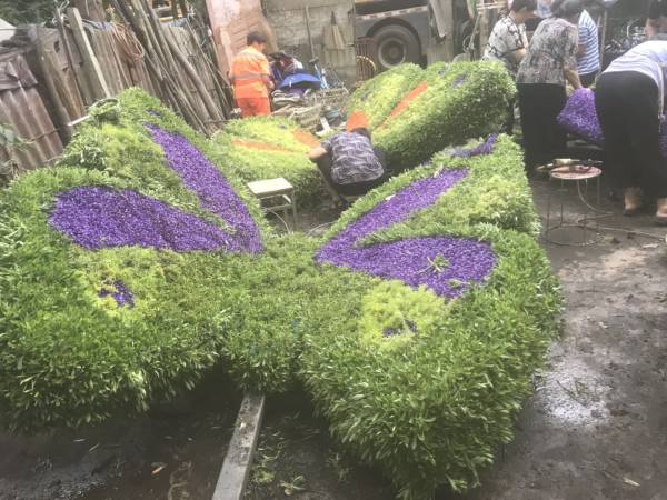 成都仿真植物綠雕