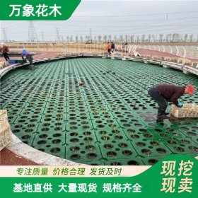 直供生态浮岛 河道水面绿化浮台 水生植物种植 水环境治理岛