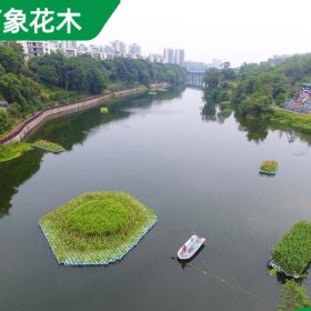 直供定制 人工生态浮岛种植 水生植物绿化造景 水体治理浮床