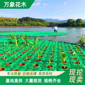 高分子复合纤维浮动湿地浮岛人工生态 滤床制作工程