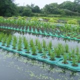 生態(tài)浮島 浮動濕地 水生植物浮床 凈化水質(zhì)工程 支持設(shè)計安裝