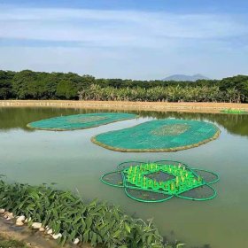 聚酯纤维浮动湿地 水上绿化水体净化 湿地施工设计环保