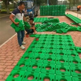 生态浮岛 浮动湿地 河道绿化水生植物种植养护 园林设计安装便捷