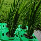 水生植物生態(tài)浮島 河道公園置景綠化 載體浮板 支持定制