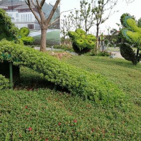 立體花壇造型觀賞 景區(qū)園林道路裝飾擺放 廠家定制