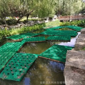 复合纤维浮动湿地 水上种植 污水处理生态浮床 湖面水体绿化