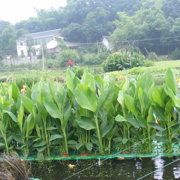 人工生態(tài)浮島廠家